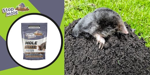 Discover feedback on the Stop Mole treatment for a magnificent garden