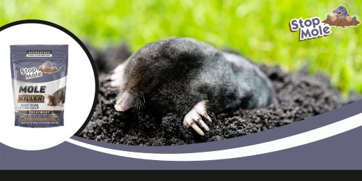 Is Stop Mole treatment available in different package sizes ?